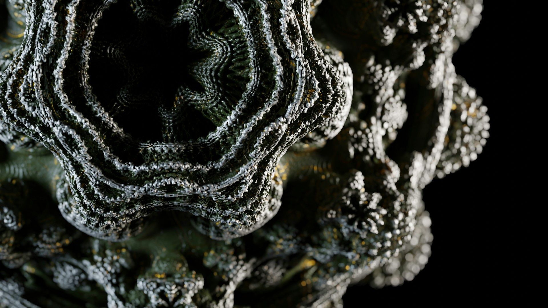 A close up view of a bunch of plants