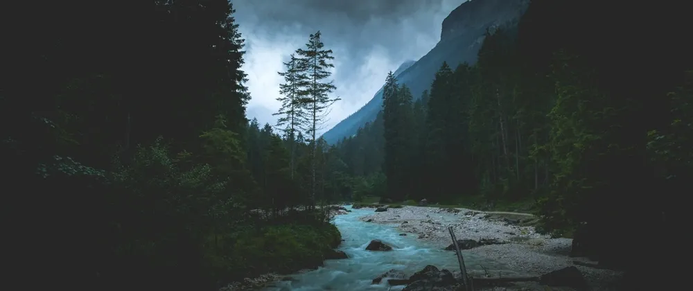 A photo of a beautiful forest