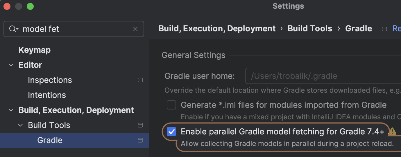 A screenshot from Intellij IDEA showing how to enable the parallel model fetching feature.