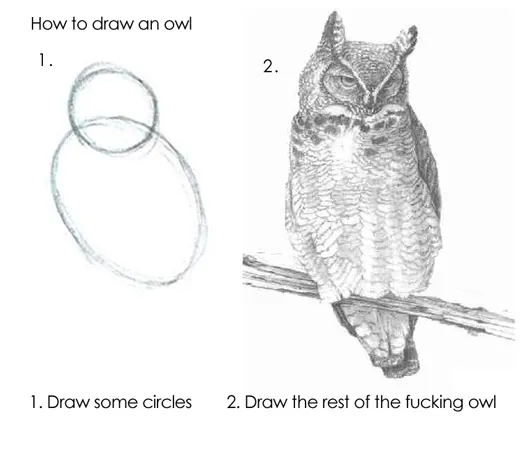 How to draw an owl: first, draw some circles. Second, draw the rest of the fucking owl.